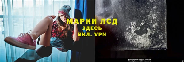 молекула духа Инсар