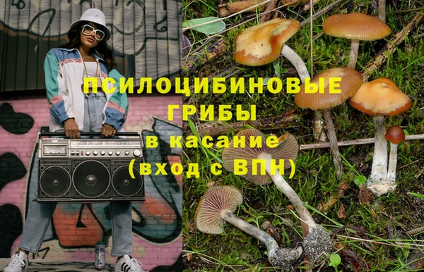 mdpv Волоколамск
