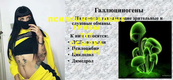 круглые Иннополис