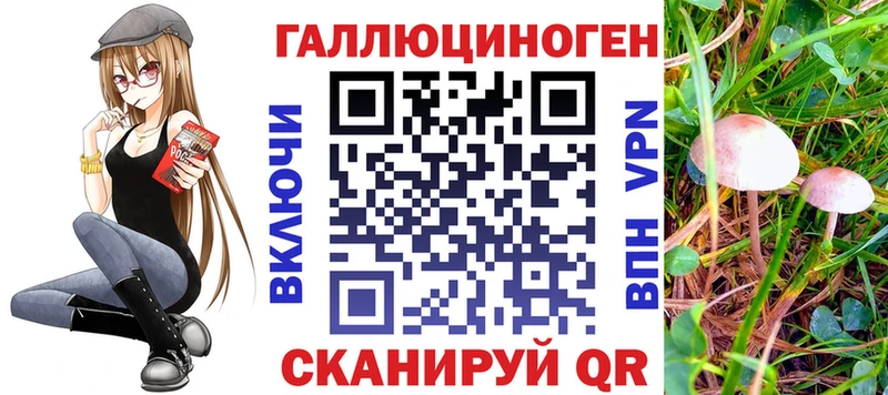 Псилоцибиновые грибы Psilocybe  Якутск 